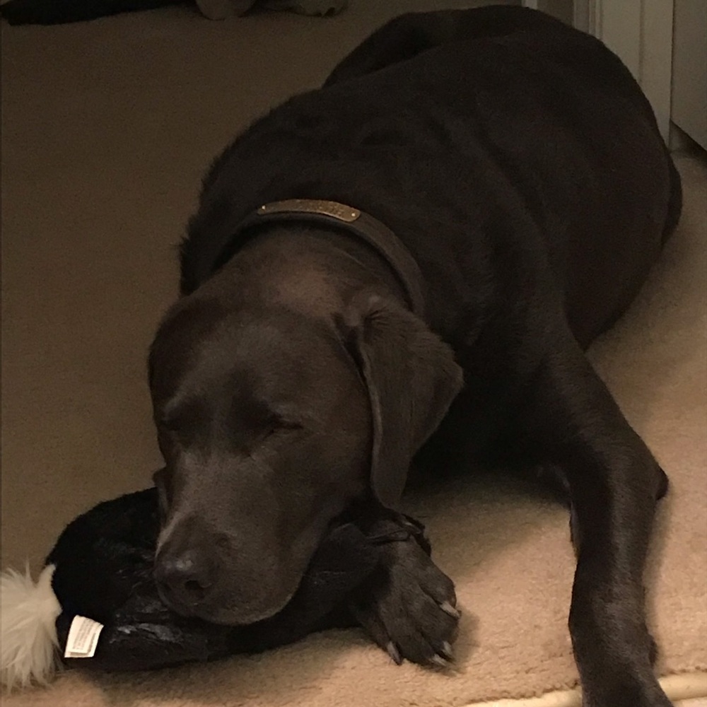 Meet your Posher, Amanda